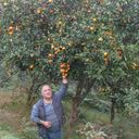  ,   Merabi, 64 ,   