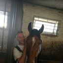 ���������� ����, ���� ������� ������, 43 ����, ������������ ��� c�������� ���������