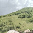 ���������� ������, ���� ������� ���, 46 ���, ������������ ��� ������, ����� � ���������