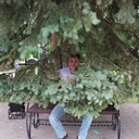 ���������� ������������, ���� ������� �����, 55 ���, ������������ ��� ����� � ���������, c�������� ���������