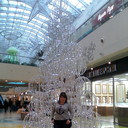 ���������� �����������, ���� ������� ���������, 44 ����, ������������ ��� ������, ����� � ���������, c�������� ���������