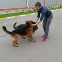 ���������� �����, ���� ������� �����, 45 ���, ������������ ��� ������, ����� � ���������, c�������� ���������