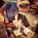 ���������� ���������, ���� ������� ����, 36 ���, ������������ ��� ������, ����� � ���������