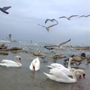  ,   , 42 ,   ,   , c 