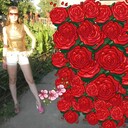  ,   , 29 ,   ,   , c 
