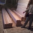 ���������� �����, ���� ������� ���������, 31 ���, ������������ ��� ������, ����� � ���������, c�������� ���������