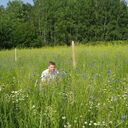 ���������� �����, ���� ������� ������, 33 ����, ������������ ��� ������, ����� � ���������