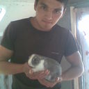 ���������� ����, ���� ������� Hurshid, 38 ���, ������������ ��� ���������