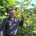 ���������� ������������, ���� ������� �����, 100 ���, ������������ ��� ������, ����� � ���������