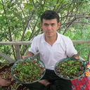  ,   Doniyorbek, 38 ,   ,   , c , 