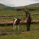 ���������� ���������, ���� ������� ��������, 56 ���, ������������ ��� ������, ����� � ���������, c�������� ���������