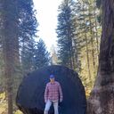 ���������� ������, ���� ������� ���������, 41 ���, ������������ ��� ������, ����� � ���������