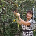  ,   , 66 ,   ,   , c , 