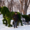 ���������� �����������, ���� ������� ������, 43 ����, ������������ ��� ������, ����� � ���������