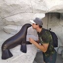 ���������� ���������, ���� ������� ������, 36 ���, ������������ ��� ������, ����� � ���������, c�������� ���������