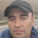 ���������� �����, ���� ������� ALEG, 38 ���, ������������ ��� ����� � ���������