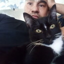 ���������� ��������, ���� ������� ������, 41 ���, ������������ ��� ������, ����� � ���������, c�������� ���������, ���������