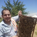 ���������� ����� �������, ���� ������� ��������, 46 ���, ������������ ��� ������, ����� � ���������, c�������� ���������, ���������