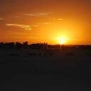 ���������� �����, ���� ������� Aram, 44 ����, ������������ ��� ������, ����� � ���������, c�������� ���������, ���������