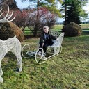 ���������� ����������, ���� ������� �����, 47 ���, ������������ ��� c�������� ���������