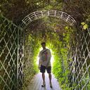 ���������� �����-���������, ���� ������� ������, 36 ���, ������������ ��� ������, ����� � ���������, c�������� ���������