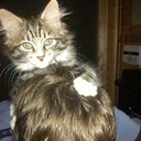 ���������� �����������, ���� ������� Pasha, 43 ����, ������������ ��� ������, ����� � ���������, c�������� ���������