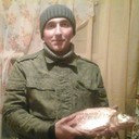  ,   GYNi, 33 ,   