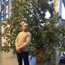 ���������� ������, ���� ������� ������, 36 ���, ������������ ��� ����� � ���������, c�������� ���������