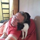 ���������� ������, ���� ������� Wood, 64 ����, ������������ ��� ������, ����� � ���������, c�������� ���������