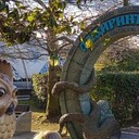 ���������� ������, ���� ������� ����, 29 ���, ������������ ��� ������, ����� � ���������, c�������� ���������