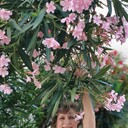  ,   , 60 ,   ,   