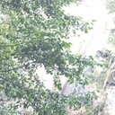 ���������� ������, ���� ������� ����, 35 ���, ������������ ��� ������, ����� � ���������, c�������� ���������, ���������