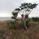  ,   , 52 ,   
