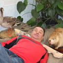  ,   , 55 ,   