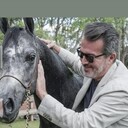  Harcourt,   Martin Chav, 65 ,   ,   