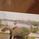  ,   , 48 ,   ,   