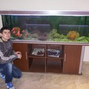 ���������� ������, ���� ������� �����, 34 ����, ������������ ��� ������, ����� � ���������, c�������� ���������