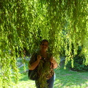 ���������� ����������, ���� ������� ������, 46 ���, ������������ 