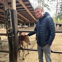 ���������� ������, ���� ������� ������, 26 ���, ������������ ��� ����� � ���������, c�������� ���������