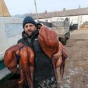 ���������� �����������, ���� ������� ���������, 39 ���, ������������ ��� ������, ����� � ���������, c�������� ���������, ���������