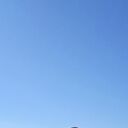  ,   TARAS, 53 ,   ,   , c 