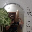 ���������� ���������, ���� ����� �����, 22 ����, ������������ ��� ������, ����� � ���������, c�������� ���������, ���������