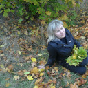 ���������� ������, ���� ������� �����, 43 ����, ������������ ��� ������, ���������