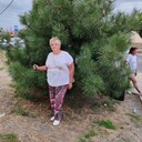  ,   , 60 ,  