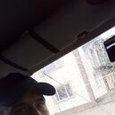 ���������� �����������-��-�����, ���� ������� �������, 28 ���, ������������ ��� ����� � ���������, c�������� ���������, ���������