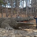 ���������� ������, ���� ������� GLOTT_, 44 ����, ������������ ��� ����� � ���������, c�������� ���������