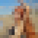 ���������� �����-���������, ���� ������� ���, 23 ����, ������������ ��� ������, ����� � ���������