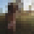 ���������� ����, ���� ������� ����, 40 ���, ������������ ��� ������