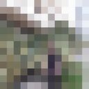  --,   , 51 ,   ,   , c 