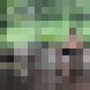 ���������� �����������, ���� ������� ��������, 45 ���, ������������ ��� ������, ����� � ���������, c�������� ���������, ���������